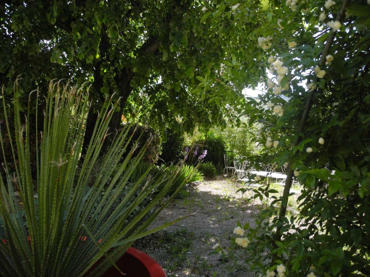 Hotel Le Comptoir Du Ranc De Bannes Sumène Exteriér fotografie